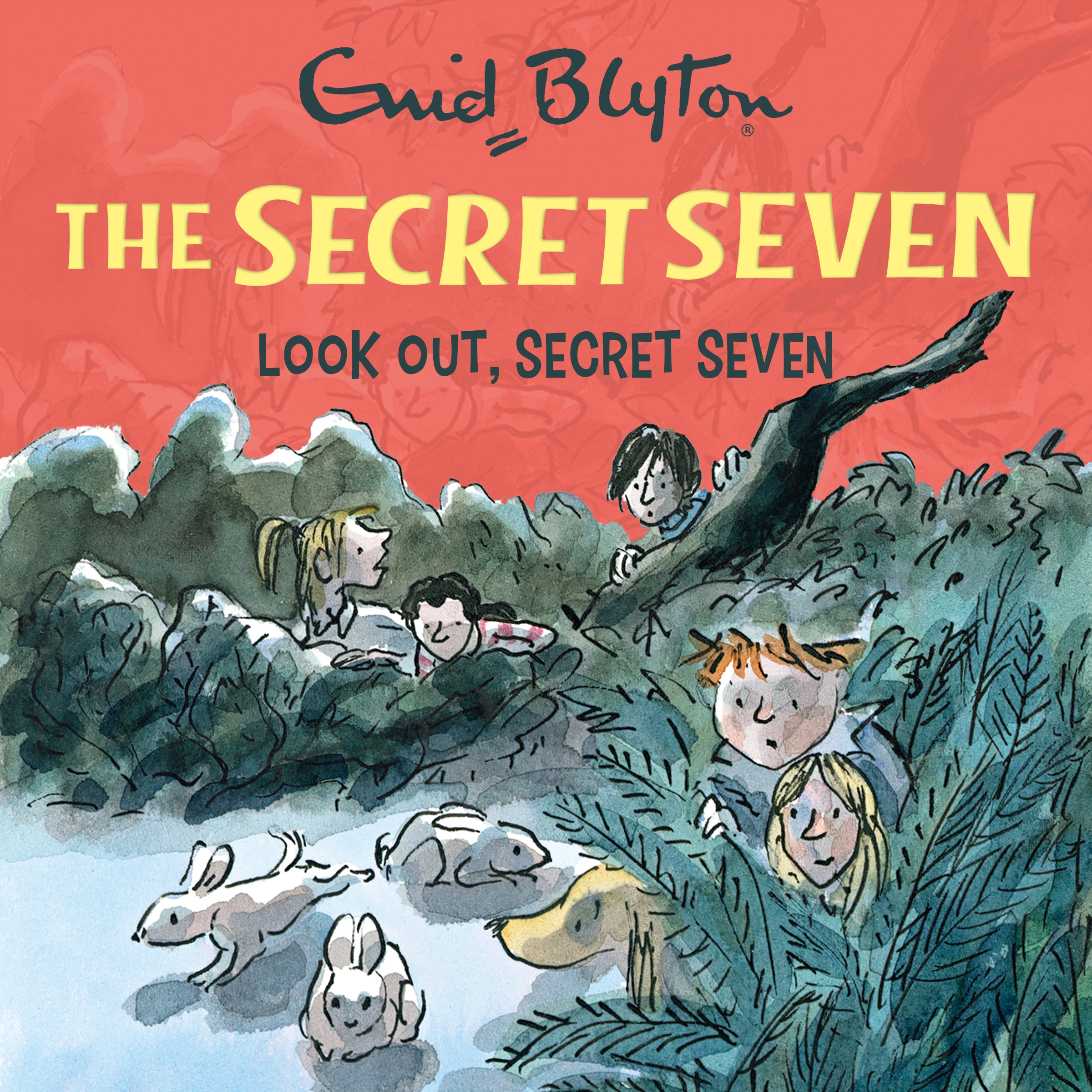 Seven books. Secret Seven. Fun for the Secret Seven.